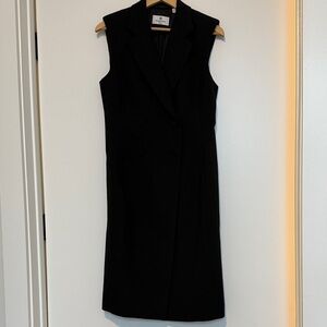 Aritizia Babaton Black Sleeveless Dress